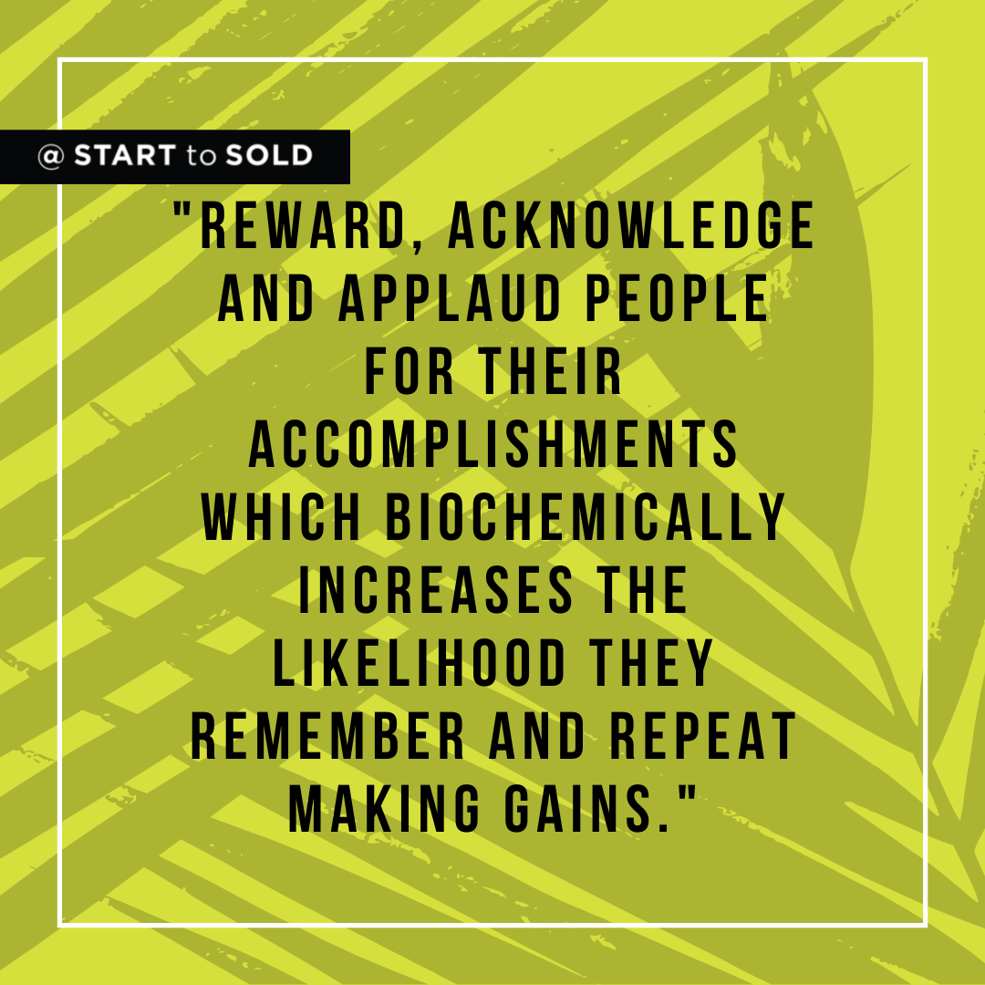 Reward, acknowledge and applaud people for their accomplishments which biochemically increases the likelihood they remember and repeat making gains. 