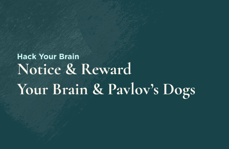 Attract more for your business – reward behavior you want to see repeated